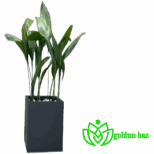 فلاور باکس فایبرگلاس ابعاد: 40*40*80
